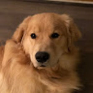 Meet your Posher, Robbie